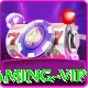 99vv Gaming VIP