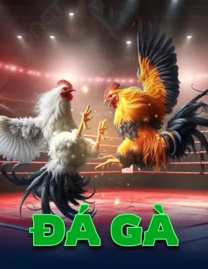 zbet - Cửa hàng ứng dụng